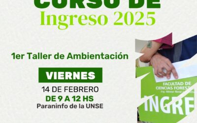 Curso de ingreso