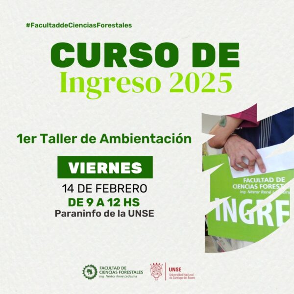 Curso de ingreso