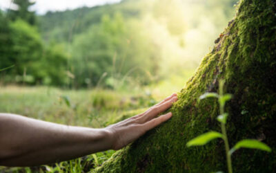 Licenciatura en Ecología y Conservación del Ambiente